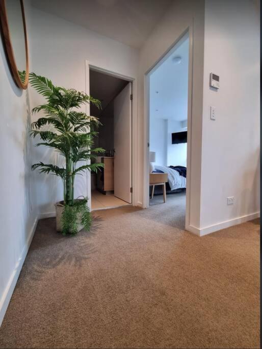 Broadbeach Stunner Modern And Central Gold Coast Exterior photo